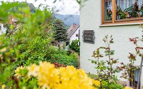 Bergblick